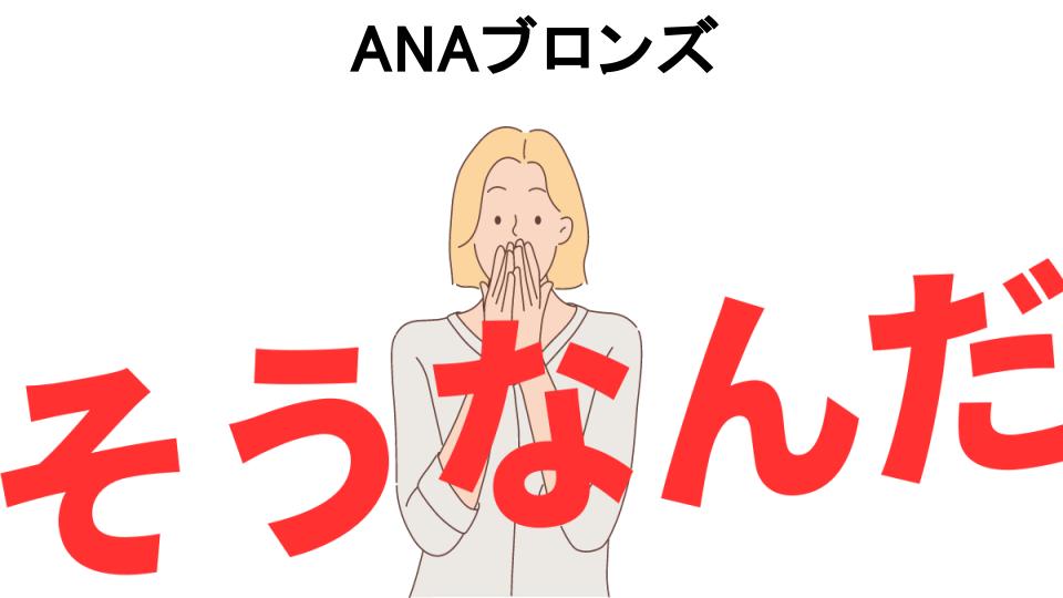 意味ないと思う人におすすめ！ANAブロンズの代わり